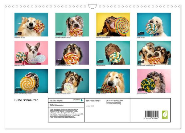 Produktbild: S&uuml;&szlig;e Schnauzen (Wandkalender 2026 DIN A3 quer), CALVENDO Monatskalender