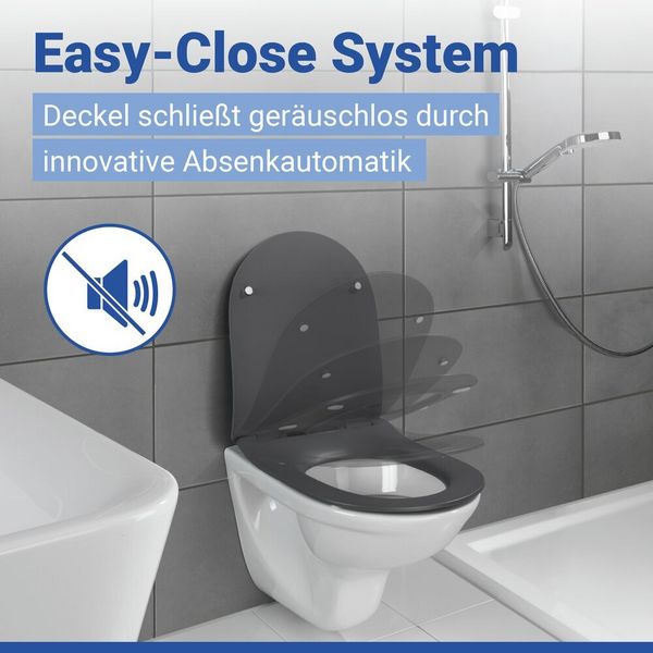 Produktbild: WC Sitz Mod. Sedilo Grau matt, Toilettendeckel in D-Form mit Absenkautomatik