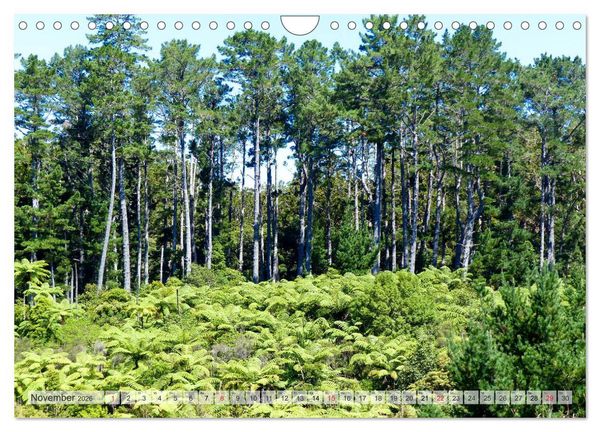 Produktbild: Neuseeland - Wandelnde Landschaften (Wandkalender 2026 DIN A4 quer), CALVENDO Monatskalender