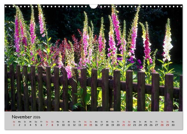 Produktbild: Blumen &uuml;berall, zur Freude Menschen (Wandkalender 2026 DIN A3 quer), CALVENDO Monatskalender