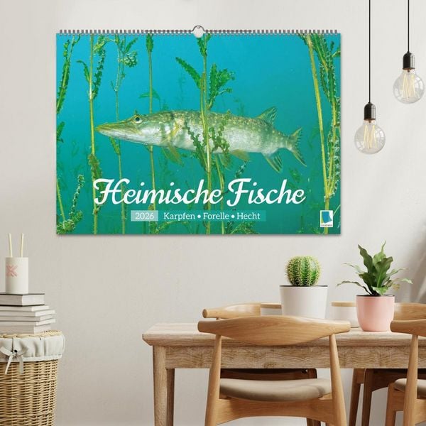 Produktbild: Heimische Fische: Karpfen, Forelle, Hecht (Wandkalender 2026 DIN A2 quer), CALVENDO Monatskalender