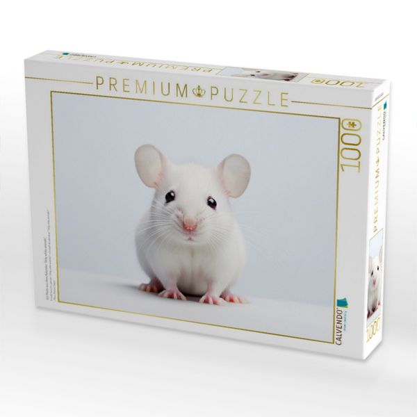 Produktbild: CALVENDO Puzzle Ein Motiv aus dem Kalender "Only white animals" | 1000 Teile Lege-Gr&ouml;&szlig;e 64x48cm Foto-Puzzle f&uuml;r gl&uuml;ckliche Stunden