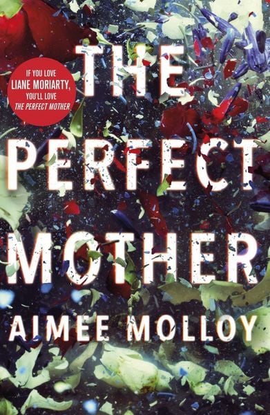 Produktbild: The Perfect Mother