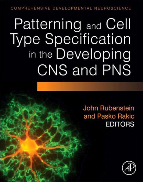 Produktbild: Patterning and Cell Type Specification in the Developing CNS and PNS