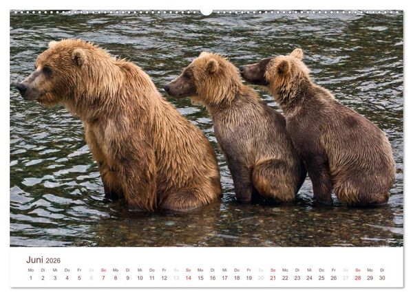 Produktbild: Der Alaska Kalender (hochwertiger Premium Wandkalender 2026 DIN A2 quer), Kunstdruck in Hochglanz
