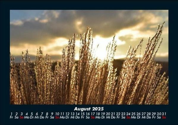 Produktbild: Bilder der Natur 2025 Fotokalender DIN A5