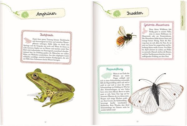 Produktbild: Expedition Natur: Erkennen, Basteln, Staunen - Vier Jahreszeiten