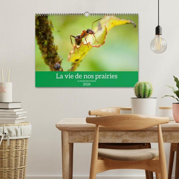 Produktbild: La vie de nos prairies - Le monde des fourmis (Calendrier mural 2026 DIN A3 vertical), CALVENDO calendrier mensuel