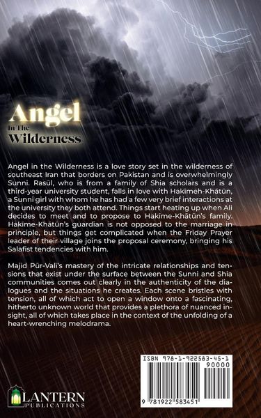 Produktbild: Angel in the Wilderness