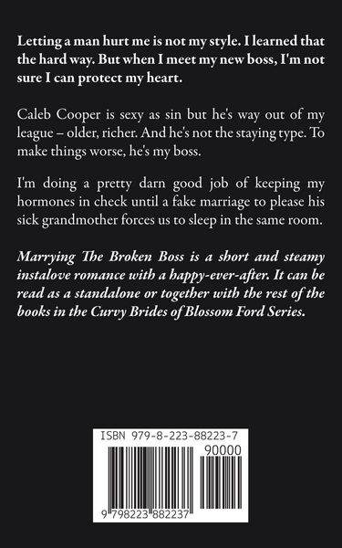 Produktbild: Marrying The Broken Boss