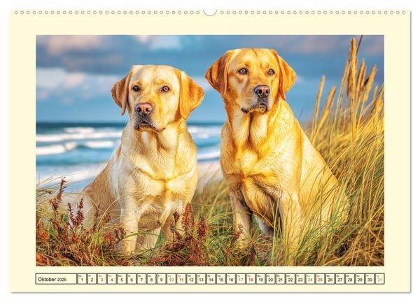 Produktbild: Labrador Retriever. Labrador-Magie f&uuml;r Herz und Seele (hochwertiger Premium Wandkalender 2026 DIN A2 quer), Kunstdruck in Hochglanz