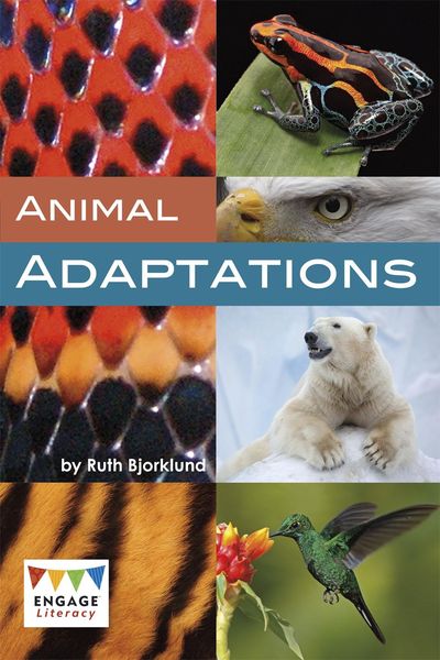 Produktbild: Animal Adaptations
