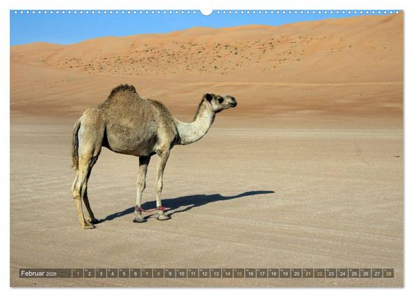 Produktbild: Sultanat Oman (Wandkalender 2026 DIN A2 quer), CALVENDO Monatskalender