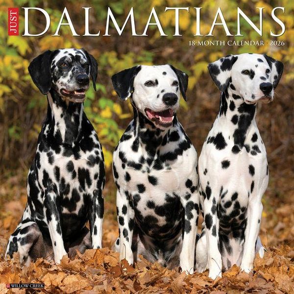 Produktbild: Dalmations 2026 Wall Calendar