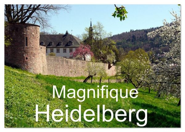 Magnifique Heidelberg (Calendrier de bureau 2026 DIN A5 vertical), CALVENDO calendrier mensuel