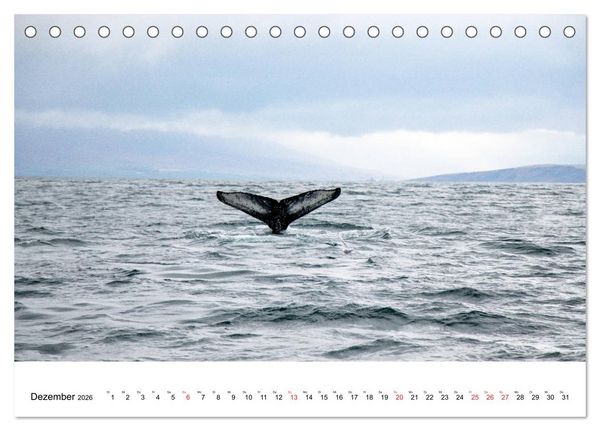 Produktbild: ISLAND Atemberaubende Natur aus Feuer und Eis (Tischkalender 2026 DIN A5 quer), CALVENDO Monatskalender