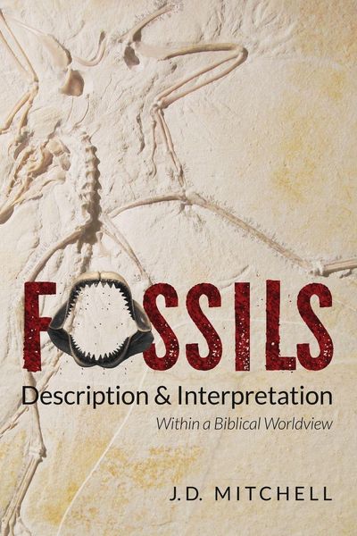 Produktbild: Fossils