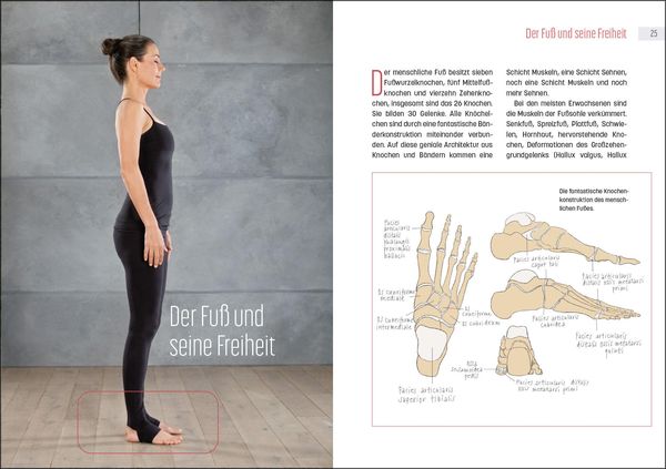 Produktbild: Laufen mit Tigerfeeling