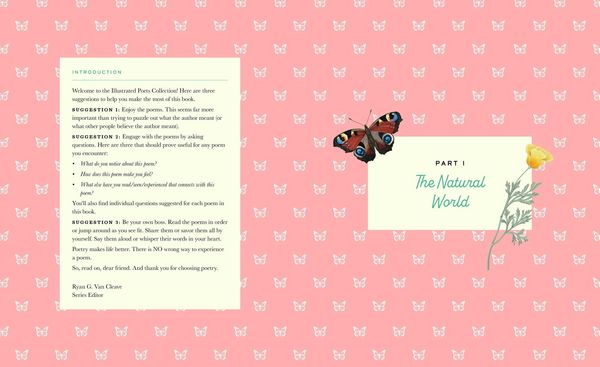 Produktbild: The Illustrated Emily Dickinson