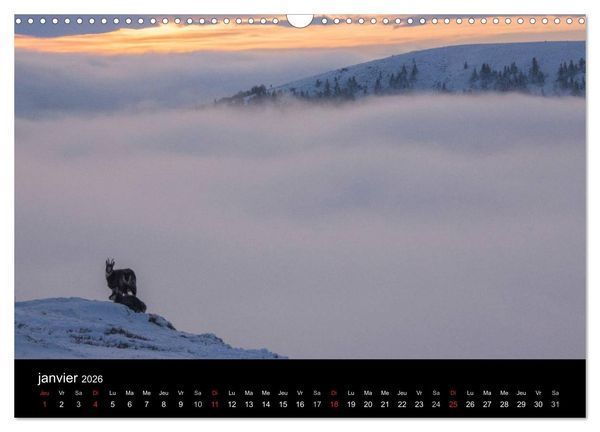 Produktbild: Tr&eacute;sors des Vosges (Calendrier mural 2026 DIN A3 vertical), CALVENDO calendrier mensuel