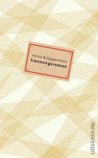 Produktbild: Trennungsroman