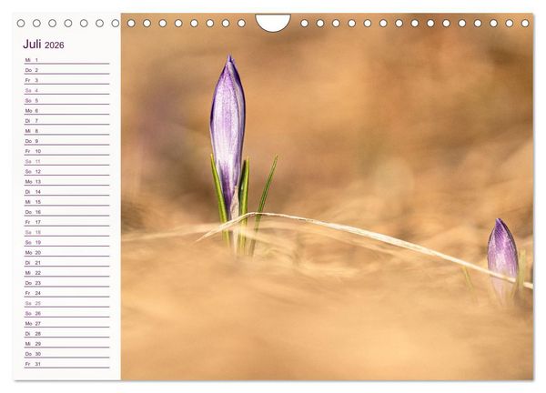 Produktbild: Wenn im Fr&uuml;hling die Natur wieder erwacht (Wandkalender 2026 DIN A4 quer), CALVENDO Monatskalender