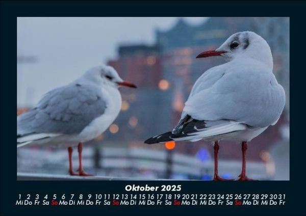 Produktbild: Welt der V&ouml;gel 2025 Fotokalender DIN A5