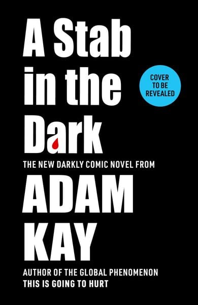 Produktbild: A Stab in the Dark