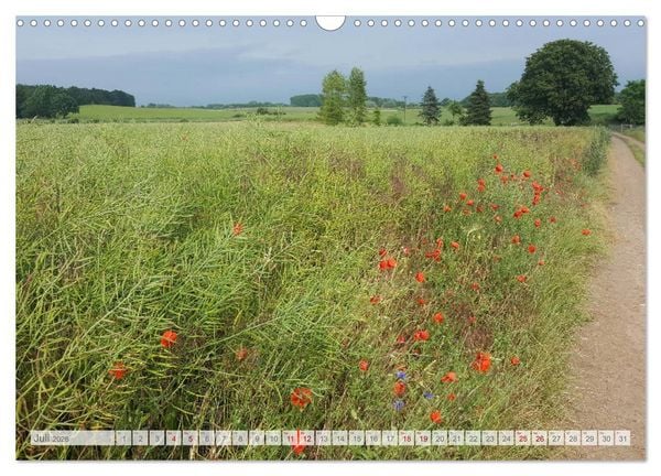 Produktbild: Natur-Paradies Mecklenburgische Schweiz (Wandkalender 2026 DIN A3 quer), CALVENDO Monatskalender