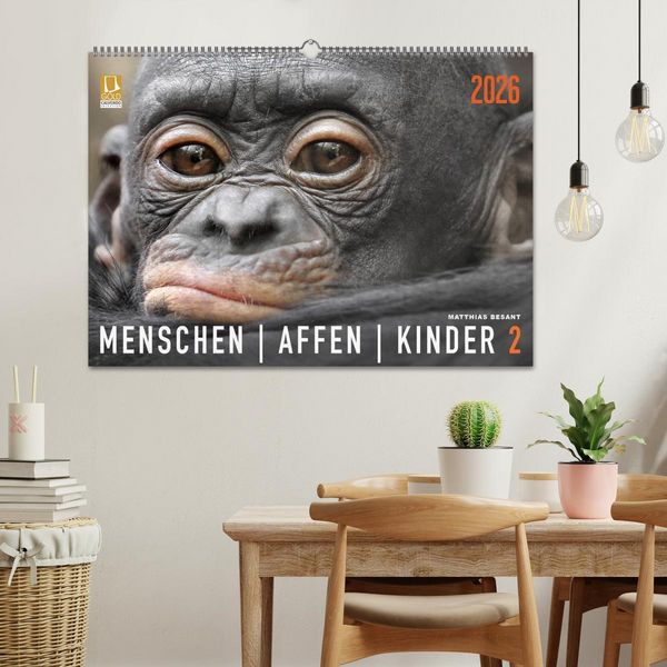 Produktbild: MENSCHENAFFENKINDER 2 (Wandkalender 2026 DIN A2 quer), CALVENDO Monatskalender