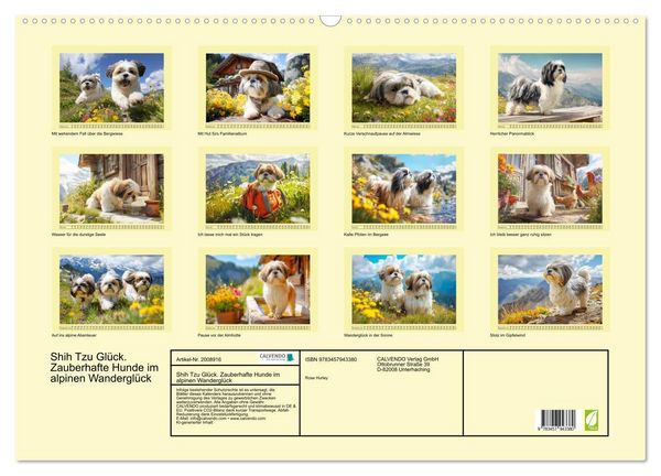 Produktbild: Shih Tzu Gl&uuml;ck. Zauberhafte Hunde im alpinen Wandergl&uuml;ck (Wandkalender 2026 DIN A2 quer), CALVENDO Monatskalender