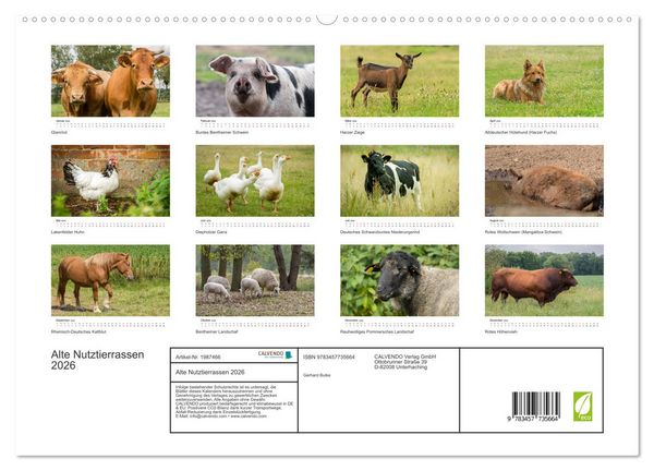 Produktbild: Alte Nutztierrassen 2026 (hochwertiger Premium Wandkalender 2026 DIN A2 quer), Kunstdruck in Hochglanz