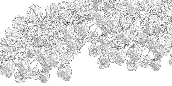 Produktbild: Wonderful Gardens