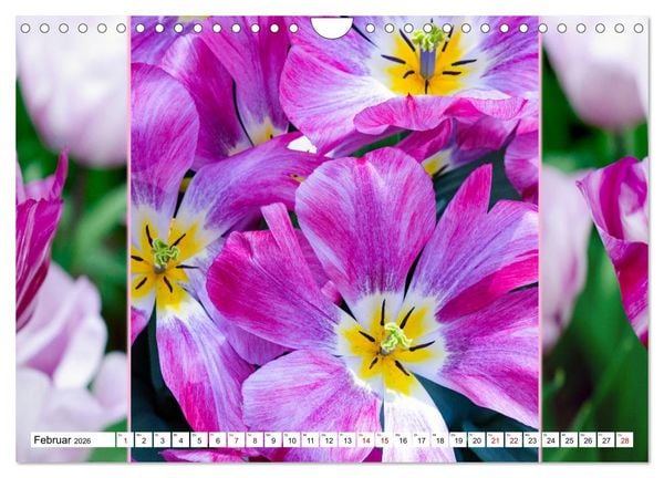 Produktbild: Tulpen - kunterbunte Collagen (Wandkalender 2026 DIN A4 quer), CALVENDO Monatskalender