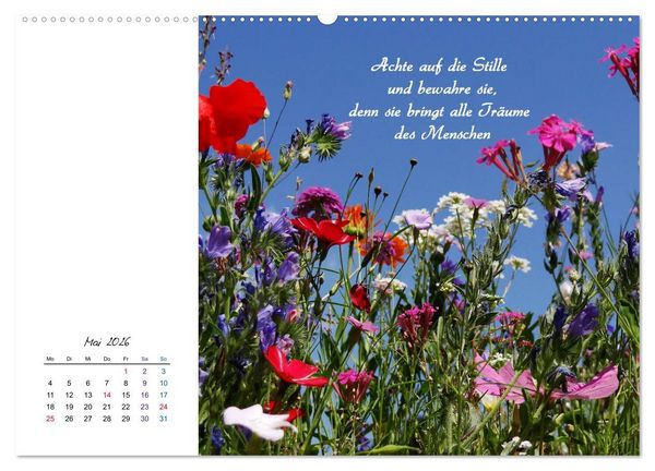 Produktbild: Innehalten in der Natur ... mit Weisheiten und Sprichworten der Indianer (hochwertiger Premium Wandkalender 2026 DIN A2 quer), Kunstdruck in Hochglanz
