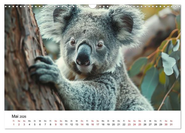 Produktbild: Wildes Down Under: Tiere des Australischen Kontinents (Wandkalender 2026 DIN A3 quer), CALVENDO Monatskalender