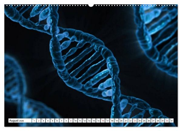 Produktbild: Mikrobiologie. Mikroorganismen, Genetik und Zellen (hochwertiger Premium Wandkalender 2026 DIN A2 quer), Kunstdruck in Hochglanz