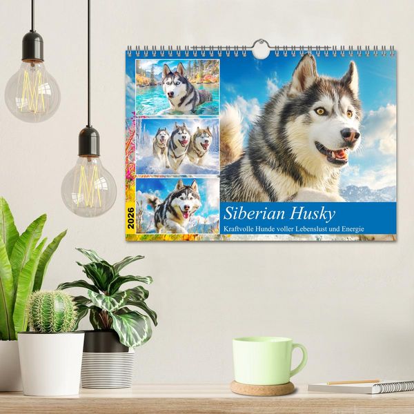 Produktbild: Siberian Husky. Kraftvolle Hunde voller Lebenslust und Energie (Wandkalender 2026 DIN A4 quer), CALVENDO Monatskalender
