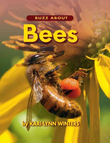 Produktbild: Buzz about Bees
