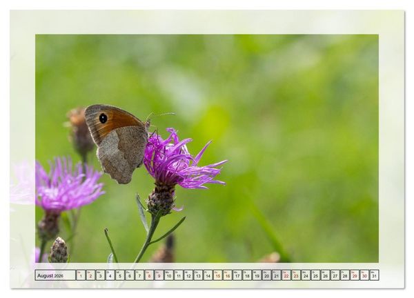 Produktbild: Jeden Monat in der Natur (Wandkalender 2026 DIN A2 quer), CALVENDO Monatskalender