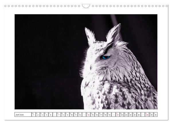 Produktbild: Natur schwarz - wei&szlig; Malerei (Wandkalender 2026 DIN A3 quer), CALVENDO Monatskalender