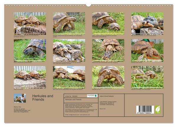 Produktbild: Herkules and Friends (hochwertiger Premium Wandkalender 2026 DIN A2 quer), Kunstdruck in Hochglanz