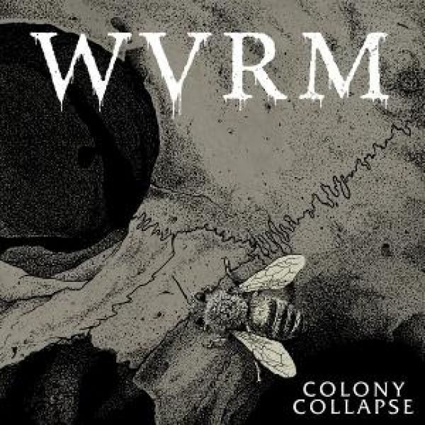 Produktbild: Colony Collapse