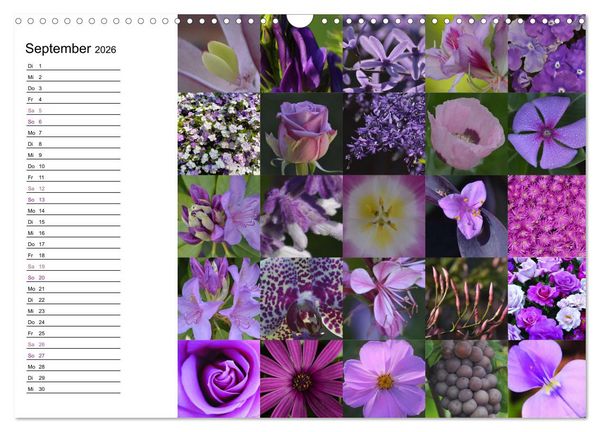 Produktbild: Farbenkaleidoskop (Wandkalender 2026 DIN A3 quer), CALVENDO Monatskalender