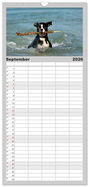 Produktbild: Familienplaner 2026 - Gut - besser - Boxer mit 5 Spalten (Wandkalender, 21 x 45 cm) CALVENDO