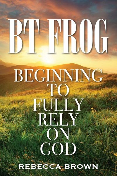 Produktbild: BT Frog