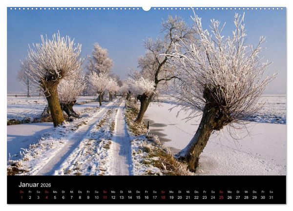 Produktbild: HOLL&Auml;NDISCHE LANDSCHAFTEN: ALBLASSERWAARD 2026 (hochwertiger Premium Wandkalender 2026 DIN A2 quer), Kunstdruck in Hochglanz