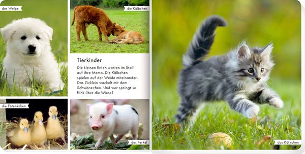 Produktbild: Meine liebsten Tiere auf dem Bauernhof