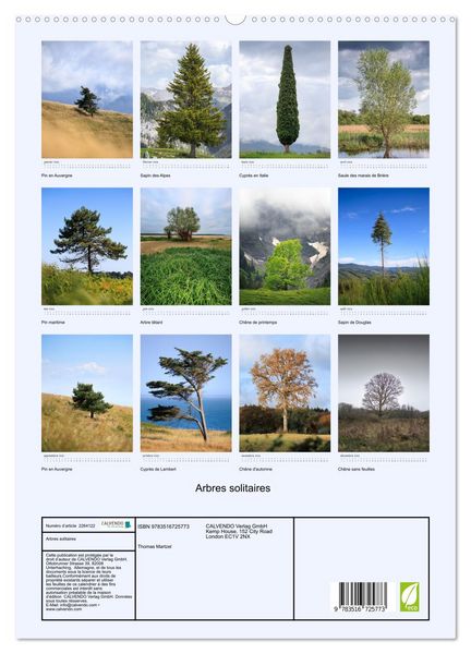 Produktbild: Arbres solitaires (Calendrier mural 2026 DIN A2 horizontal) calendrier de bureau