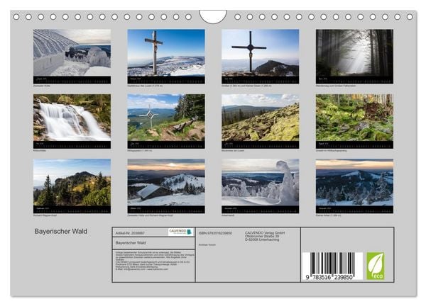 Produktbild: Bayerischer Wald (Wandkalender 2026 DIN A4 quer), CALVENDO Monatskalender